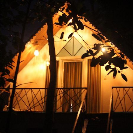 Wood Castle Munnar Guest House Exterior foto