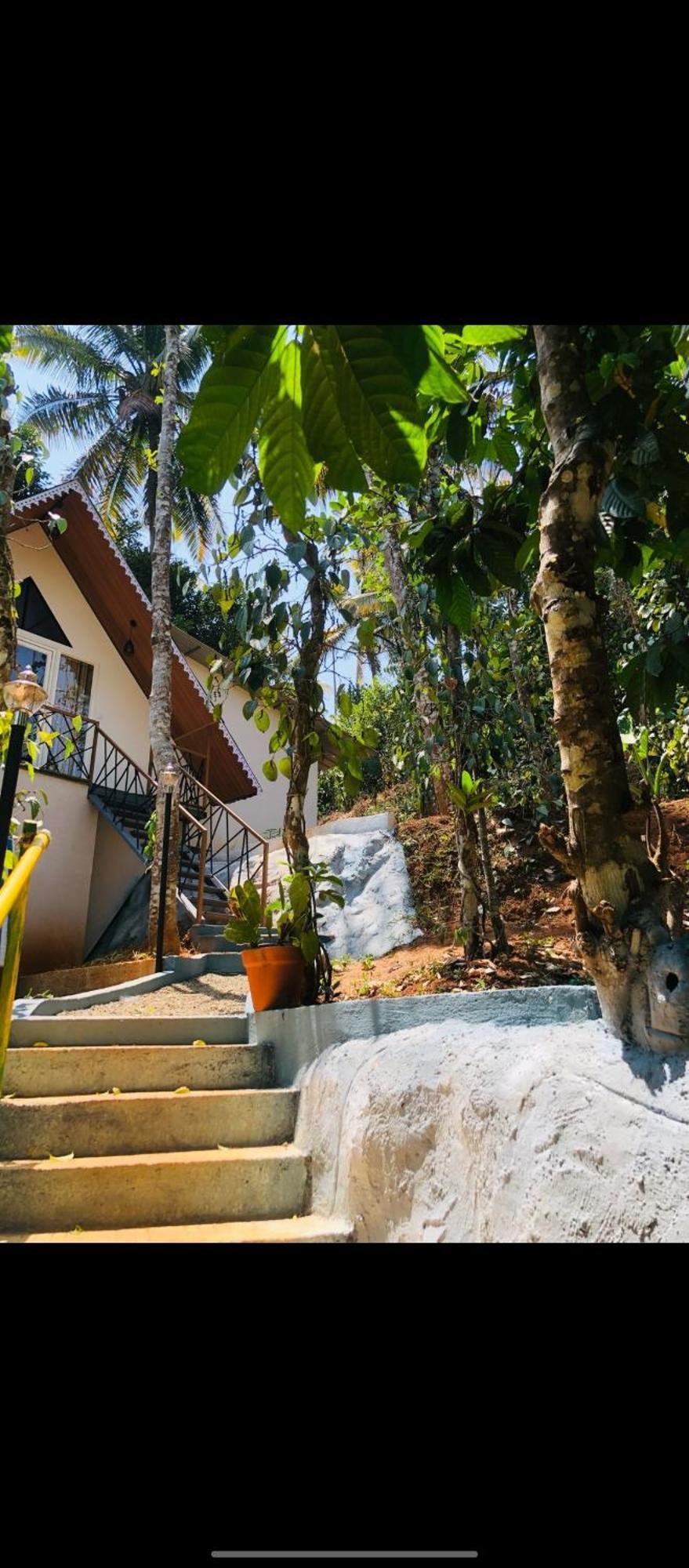 Wood Castle Munnar Guest House Exterior foto
